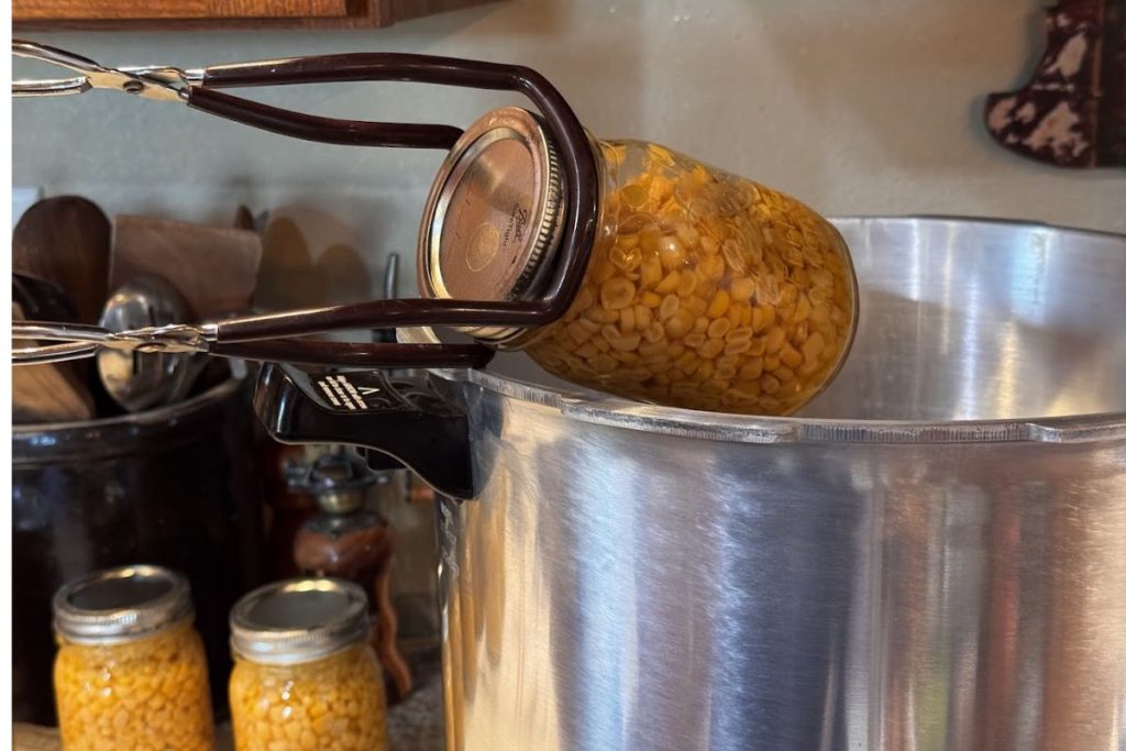 Pressure canning sweet corn from our garden, a great way to preserve the garden harvest for the coming year.