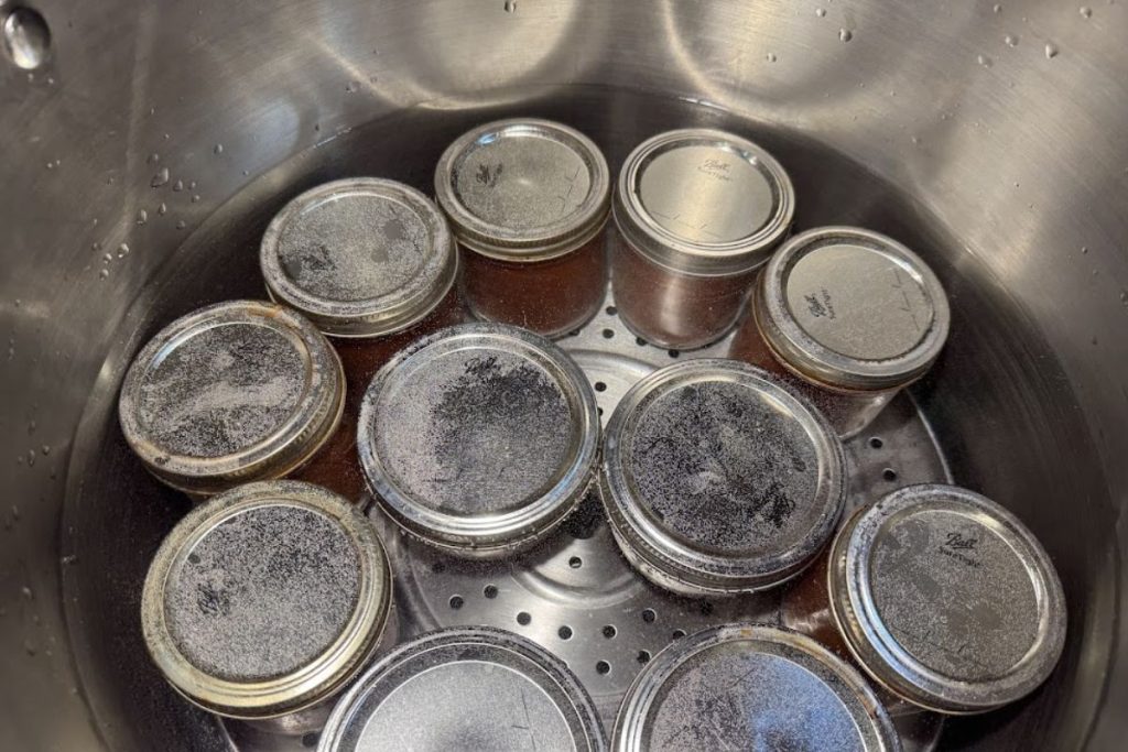 Water bath canning some tomato based products.