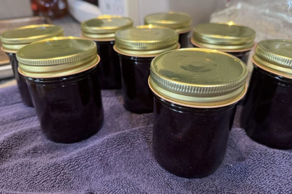Jam jars all filled and ready to go into the water bath canner.