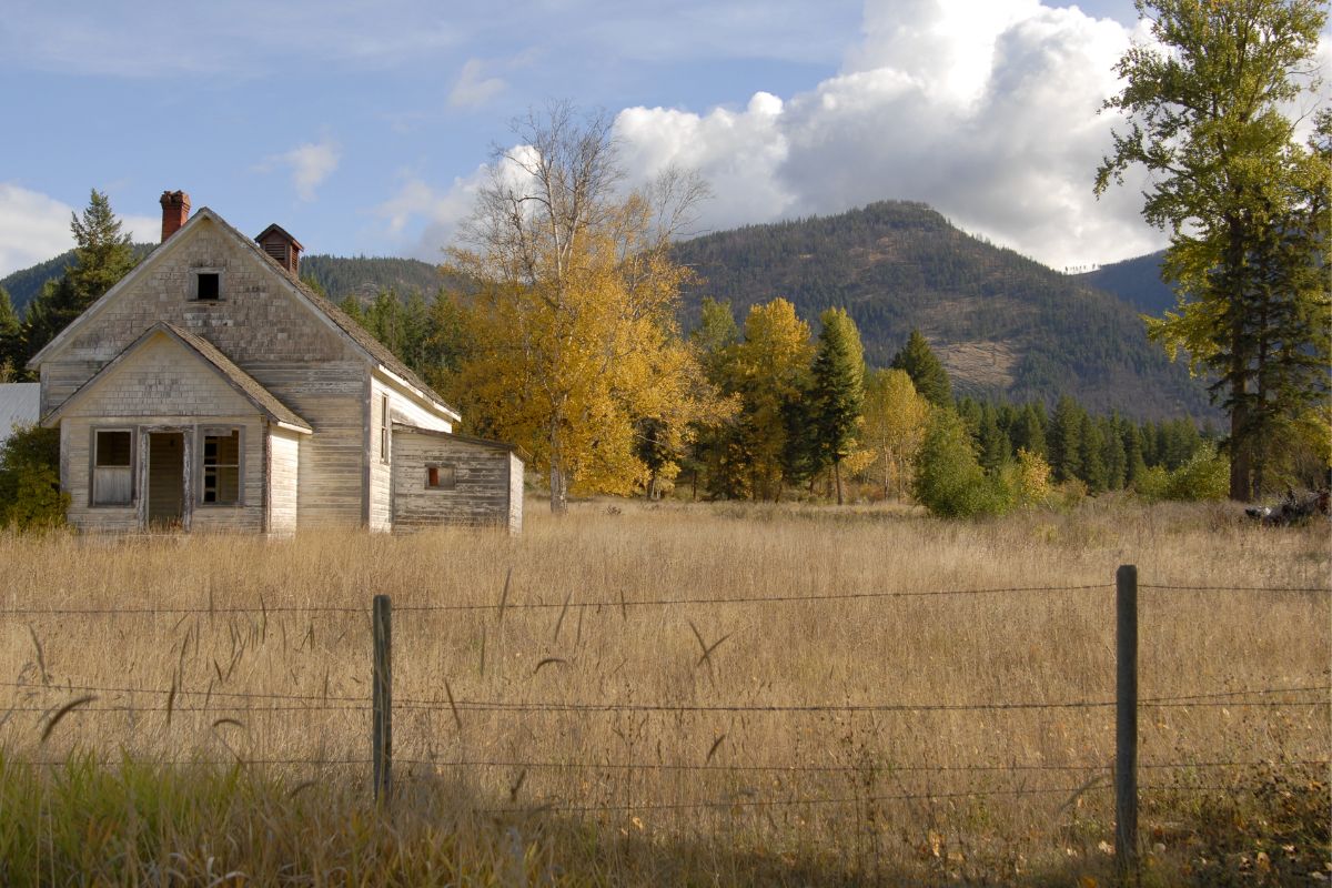 One of the steps in starting a homestead is saving money to pay down on your dream homestead.