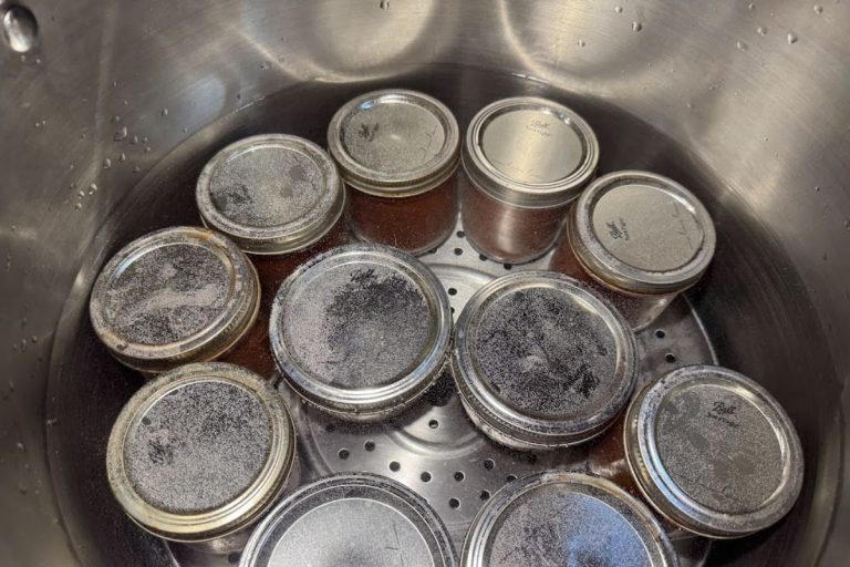 Water Bath Canning vs Pressure Canning: What’s the Difference?