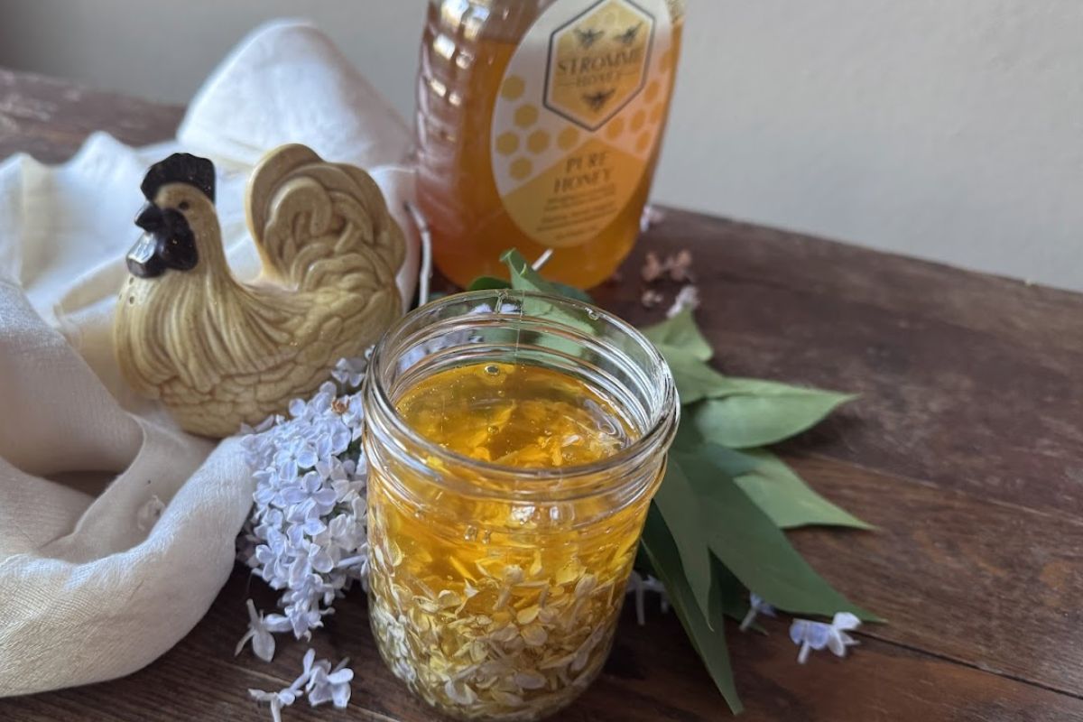 Easy Lilac Flower Infused Honey Recipe