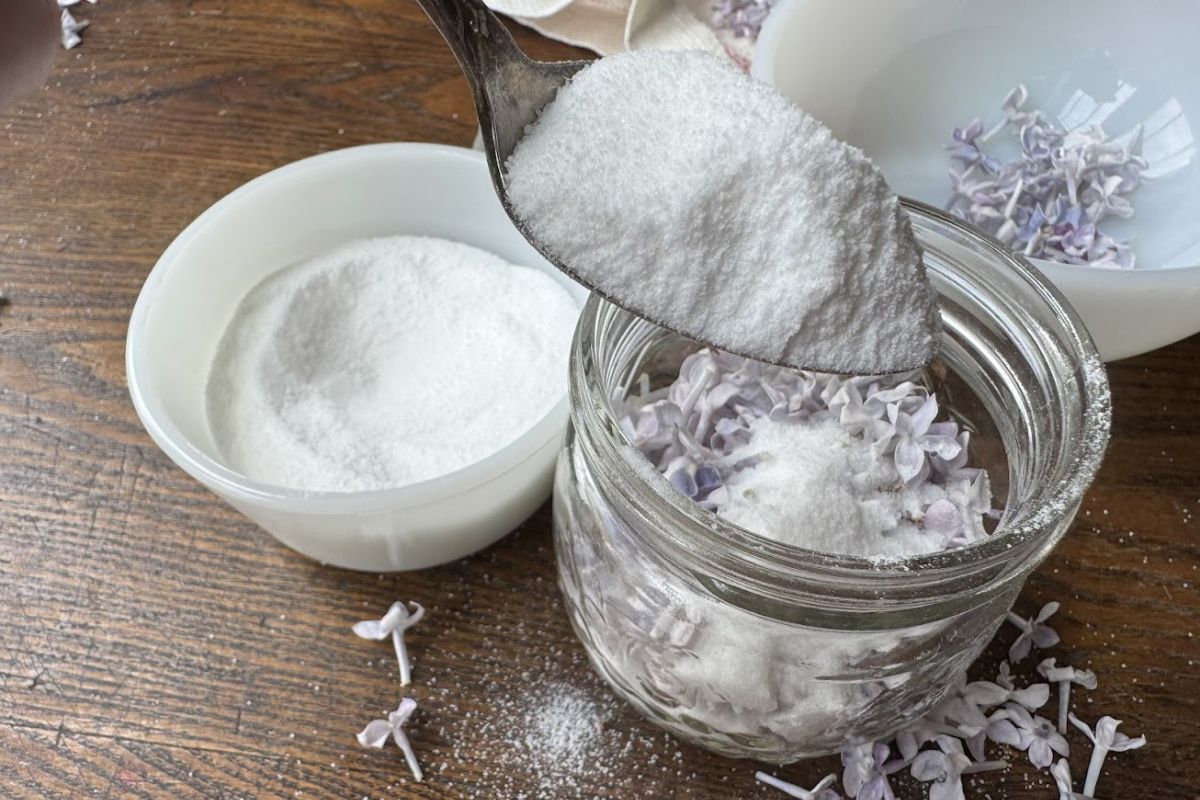 How to Make Lilac Sugar + Ways to Use It