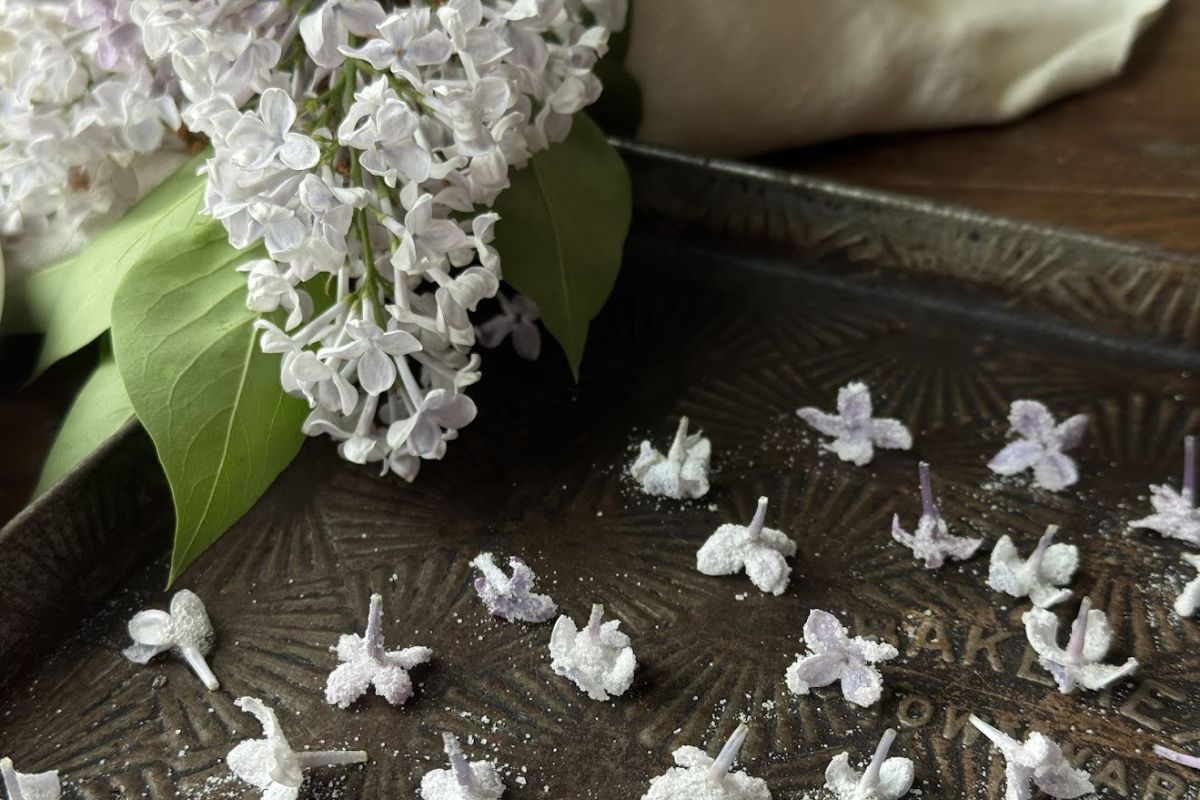 Easy Candied Lilac Petals